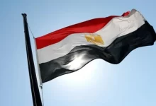 تقارير