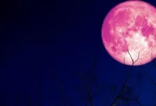 قمر الفراولة