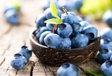 التوت الأزرق