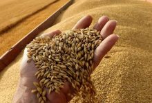 أن المنتجات الزراعية