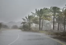 طقس