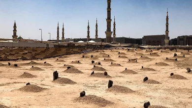 المعصومين