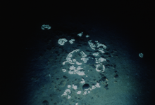 أعماق المحيط